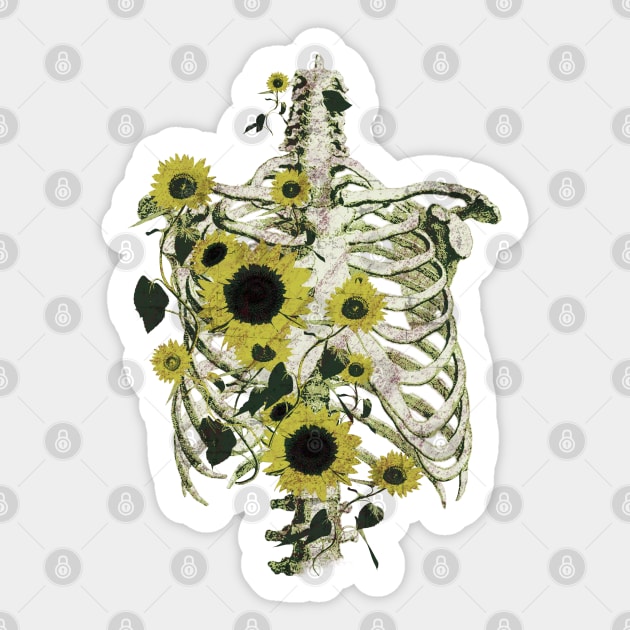 Botanical anatomy, rib cage, pelvis, flowers skeleton Sticker by Collagedream